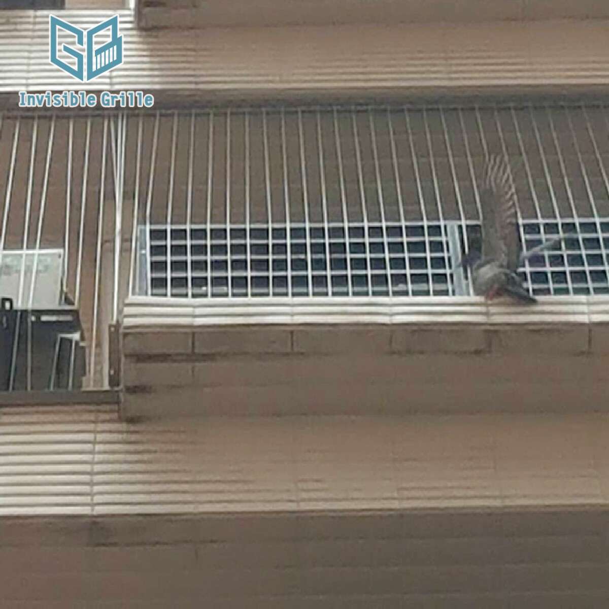 鴿害 , 隱形鐵窗 , 防鳥