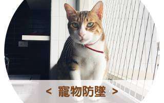 谷賓隱形鐵窗-寵物防護隱形鐵窗、防貓網安裝