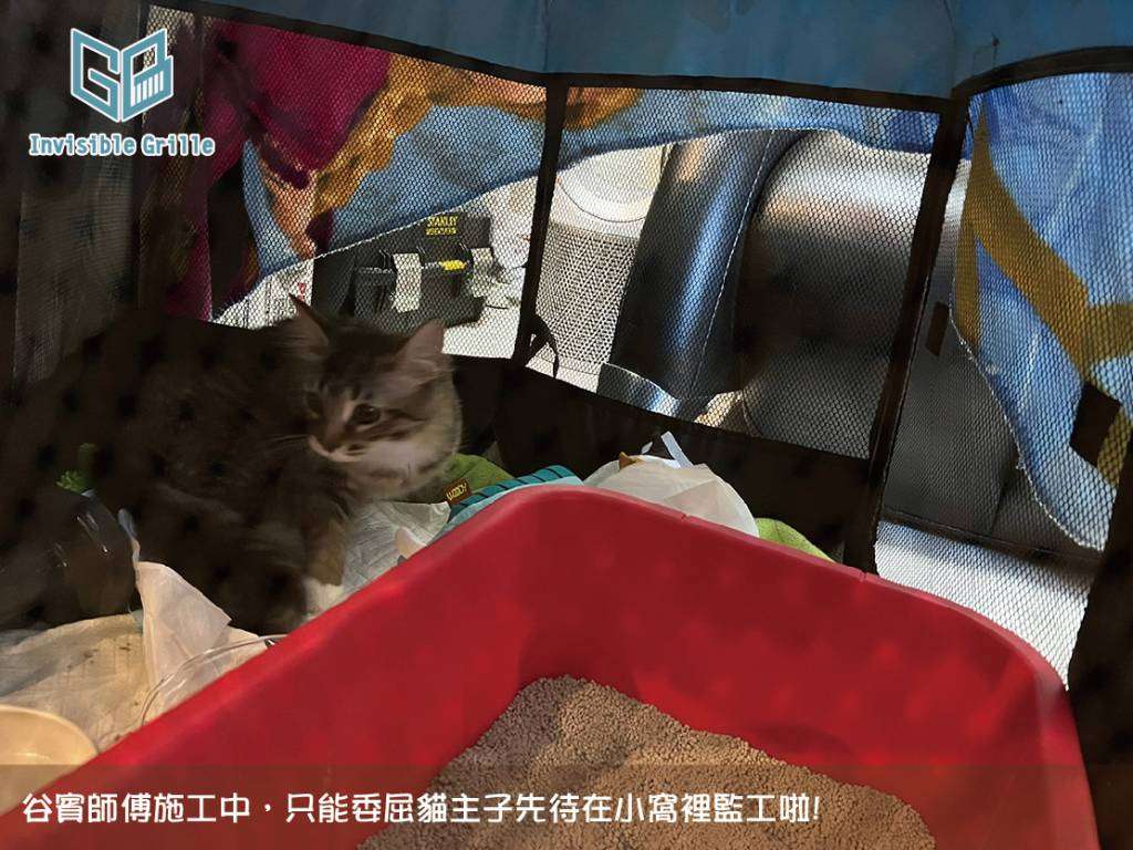 谷賓安裝防寵物墜樓安全網，貓咪要先安置好在外出籠裡~