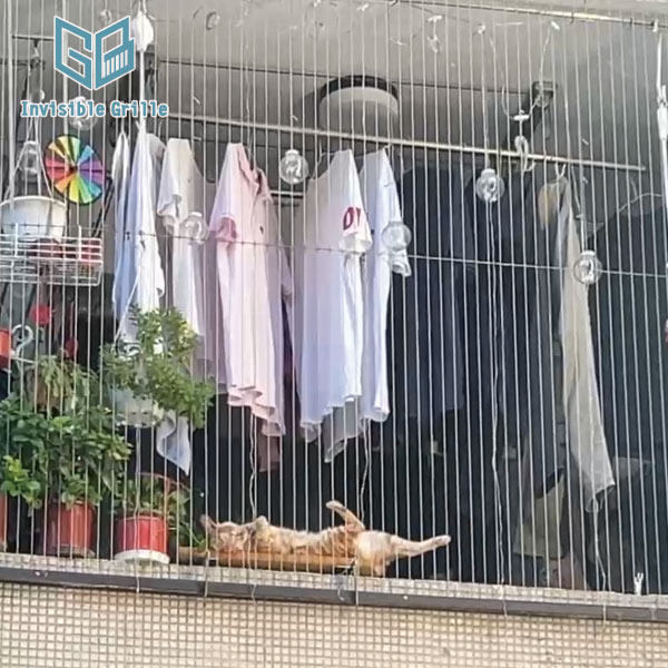 貓咪的習性你知道多少