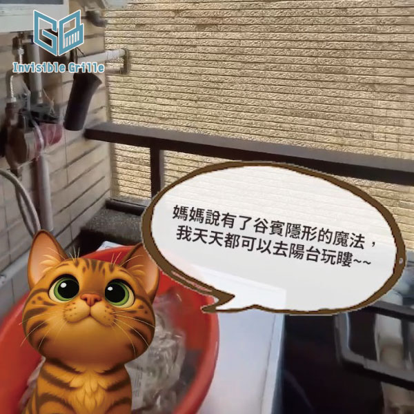 陽光貓日常，曬出幸福又療癒的美滿貓生