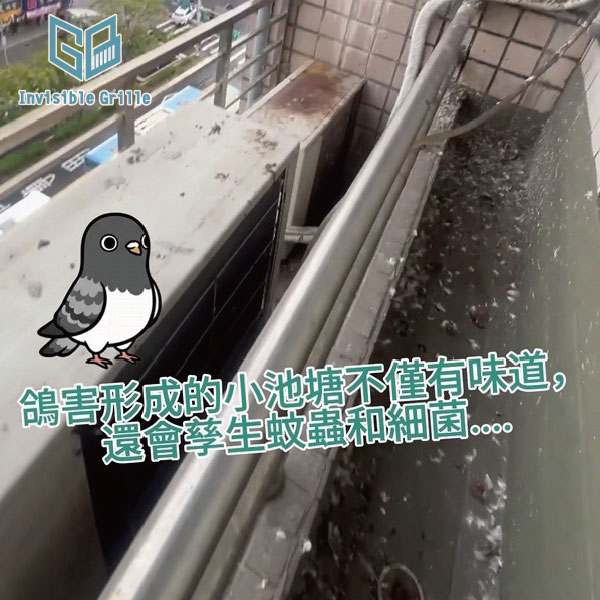 颱風季防鴿防堵好幫手！谷賓防墜網清潔又安心