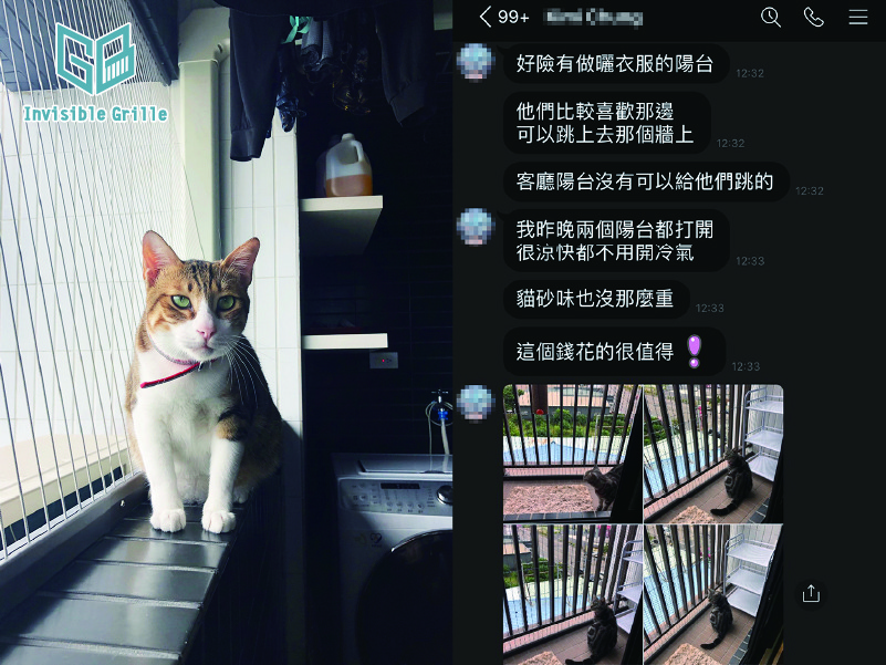 為什麼要裝貓咪防墜隱形鐵窗？