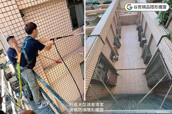 谷賓一站式鴿害清潔服務,包含大型社區鴿害和校園鴿害